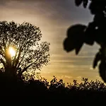 Bed & Breakfast Al Chicco D'uva 3*
