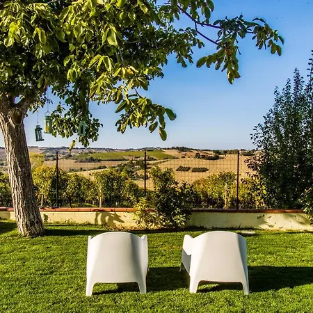 Al Chicco D'uva Bed & Breakfast Morro dʼAlba
