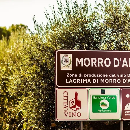 Al Chicco D'uva Morro dʼAlba