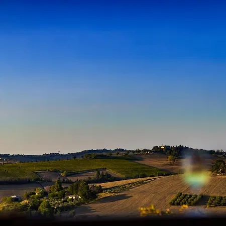 Al Chicco D'uva Couette-café Morro dʼAlba