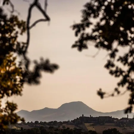 Bed & Breakfast Al Chicco D'uva Morro dʼAlba