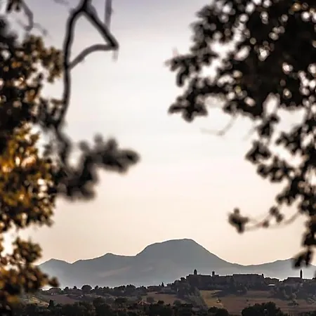 Al Chicco D'uva 3* Morro dʼAlba
