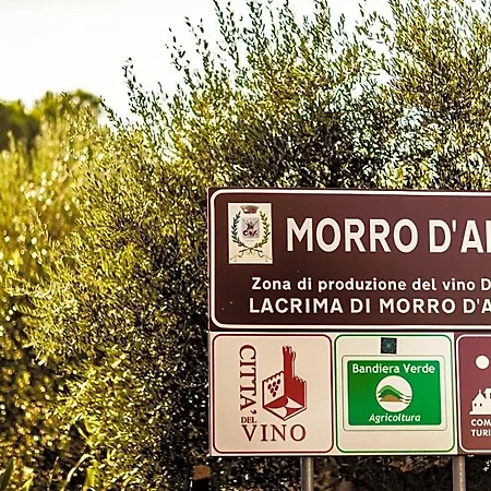 Al Chicco D'uva Morro dʼAlba