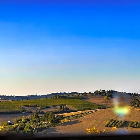 Al Chicco D'uva Morro dʼAlba