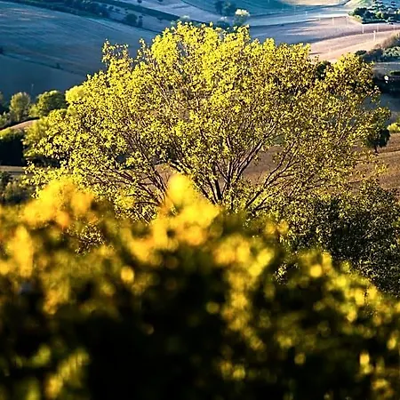 Bed & Breakfast Al Chicco D'uva 3*