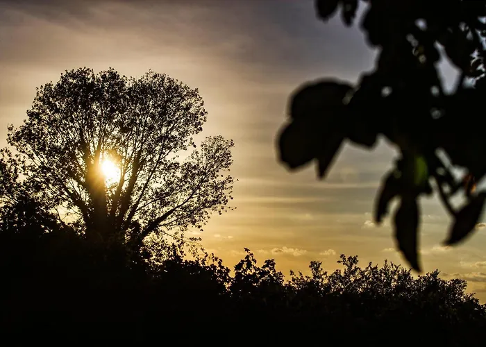 Bed & Breakfast Al Chicco D'uva 3*